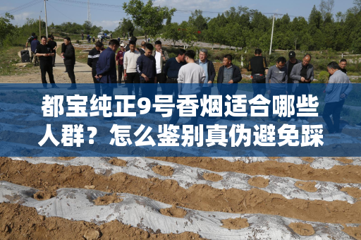 都宝纯正9号香烟适合哪些人群？怎么鉴别真伪避免踩坑？